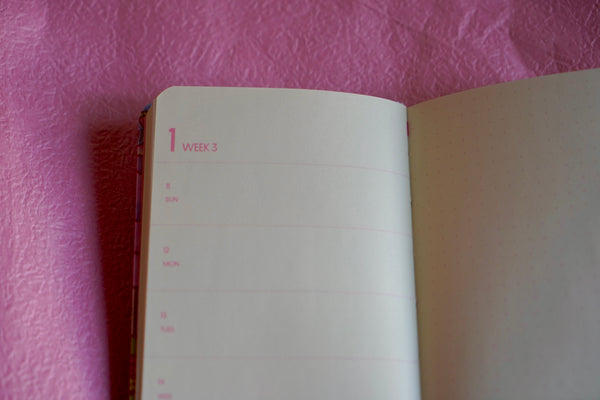 2026 Illustrated Dated Weekly Planner