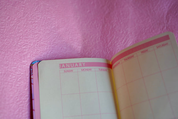 2026 Illustrated Dated Weekly Planner