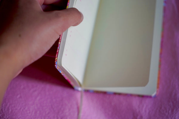 2026 Illustrated Dated Weekly Planner